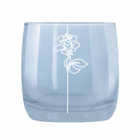 808 копия.jpg_сжатые